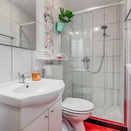 فيلة Sweet Coral *