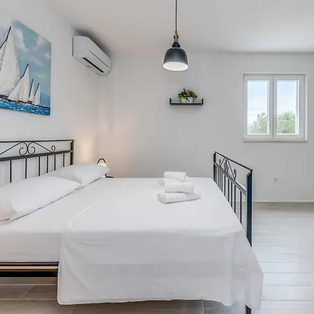 Sweet Coral Podglavica